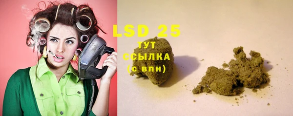 PSILOCYBIN Дмитриев