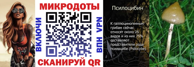 дарнет шоп  Ардон  нарко площадка как зайти  Галлюциногенные грибы Psilocybine cubensis 