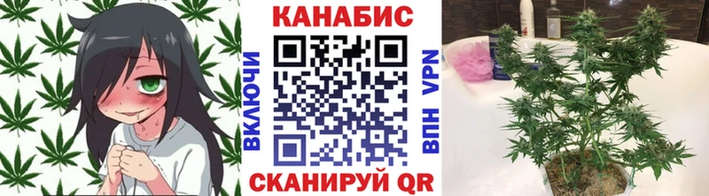 Каннабис тримм  даркнет Telegram  Ардон 